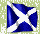{short description of image}